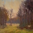 Winter Field