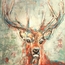 Sara Arnall Stag